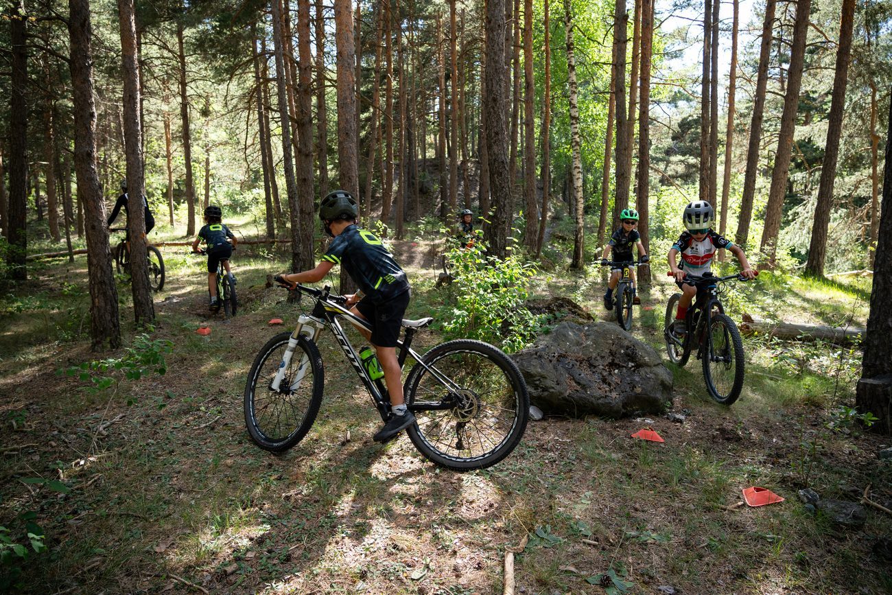 Esercizi di guida nel bosco